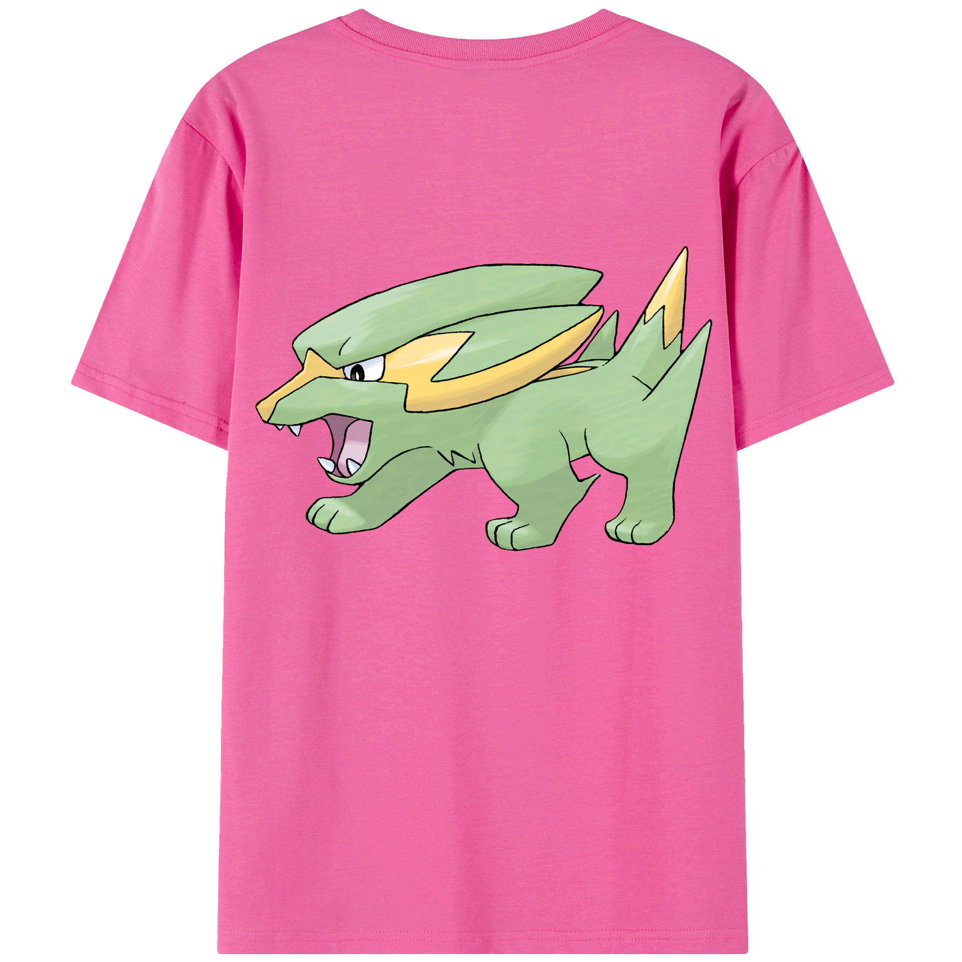 （画像用） ポケットモンスター Pokémon レディース半袖Tシャツ(バックプリント)